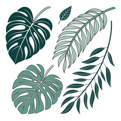 Stylized dark and light teal tropical leaves graphic monstera and palm foliage for design projects split leaf illustration set exotic leaves © Ar