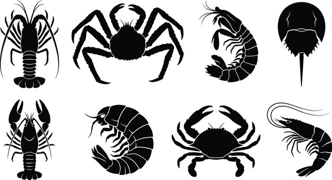 Black Silhouette Collection of Crustaceans and Marine Arthropods Including Lobster, Crab, Shrimp, and Horseshoe Crab