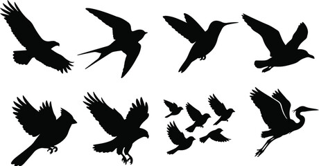 Obraz premium Flying Bird Silhouette Vector Icon Set Featuring Eagle Heron Hummingbird And Flock Isolated On White Background