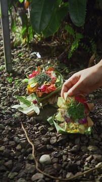 Balinese Woman is performing Traditional Offering Ritual or Worship Ritual at home during Kuningan Ceremony in Bali. Religion, Culture, and Travel Concept. 4K Footage
