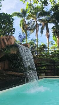 Waterfall flows into pool surrounded by tall palm trees and lush greenery