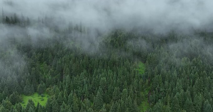 Aerial footage of beautiful forest mountains	