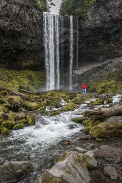 Hiker in front of a high waterfall, water falls over a rocky outcrop, Tamanawas Falls, Wild River Cold Spring Creek, Oregon, USA