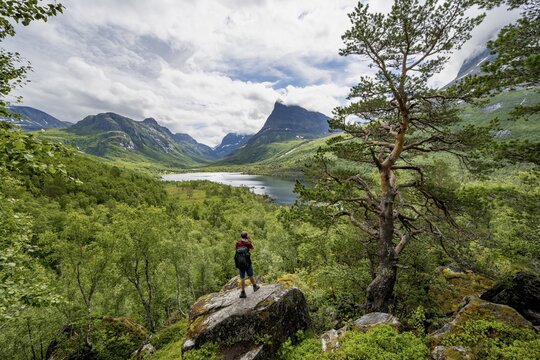 Young man standing on rocks and taking pictures, Innerdalen high valley with lake Innerdalsvatna, mountains, right Innerdalst&aring;rnet, Trollheimen, Sunndal, M&oslash;re og Romsdal, Vestlandet, Norway