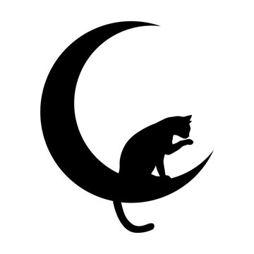 Black cat svg cut file. Isolated vector illustration.