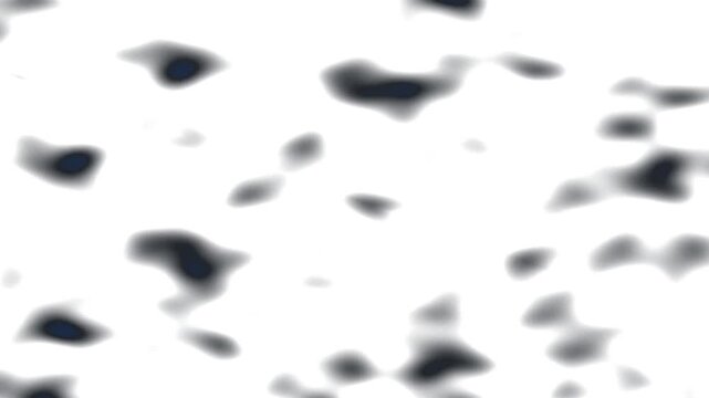 Abstract blobs moving on white background