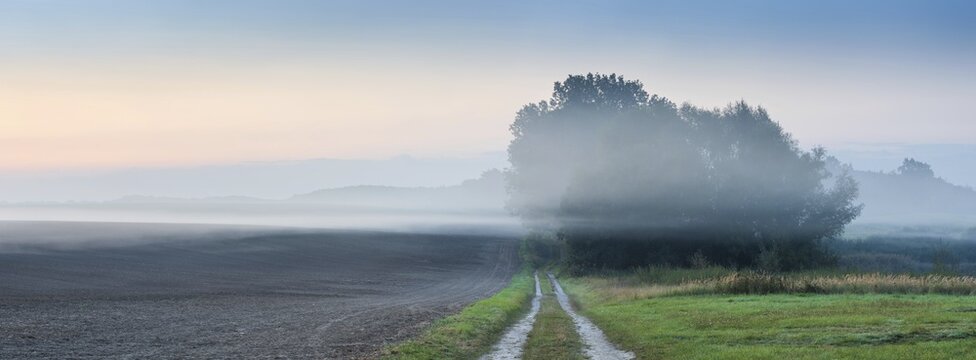 Field path through typical North German field landscape with fog at dawn, Mecklenburg-Western Pomerania, Germany