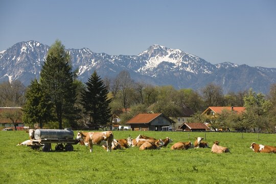 Upper Bavarian landscape, Mt Herzogstand and Mt Heimgarten, Alps, Upper Bavaria, Bavaria, Germany, Europe