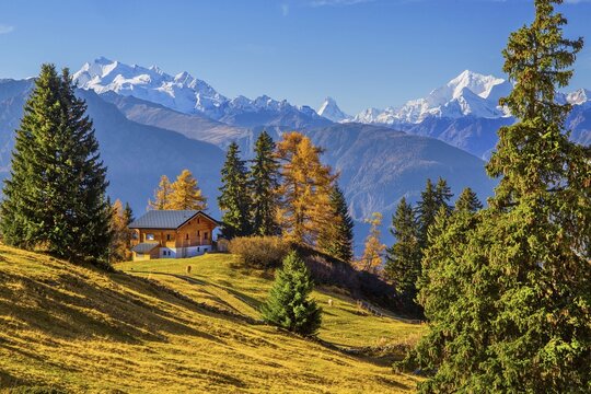 Autumn landscape with chalets and panorama of Dom 4545m, Matterhorn 4478m and Weisshorn 4505m, Bettmeralp, Goms, Rhone Valley, Upper Valais, Valais, Switzerland