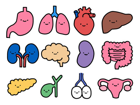 Cute human organ characters with faces illustration set