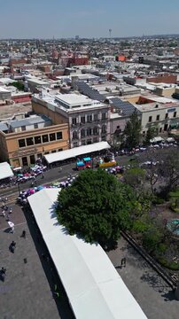 Aerial drone flight over a tree lined avenue with traffic in Aguascalientes on a sunny day, central Mexico.