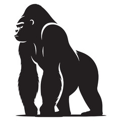 gorilla, silverback gorilla, mountain gorilla, western gorilla, eastern gorilla, baby gorilla, gorilla family, giant ape, primate, wildlife, wild animal, jungle, rainforest, African wildlife. © Maan
