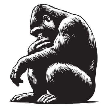 gorilla, silverback gorilla, mountain gorilla, western gorilla, eastern gorilla, baby gorilla, gorilla family, giant ape, primate, wildlife, wild animal, jungle, rainforest, African wildlife.