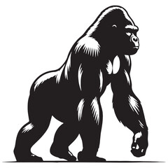 gorilla, silverback gorilla, mountain gorilla, western gorilla, eastern gorilla, baby gorilla, gorilla family, giant ape, primate, wildlife, wild animal, jungle, rainforest, African wildlife. © Maan