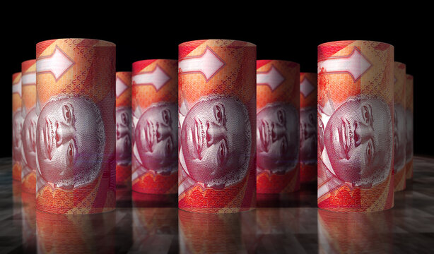 Barbados 50 dollar money banknotes rolls 3d illustration