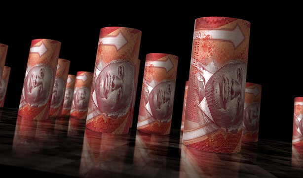 Barbados 50 dollar money banknotes rolls 3d illustration