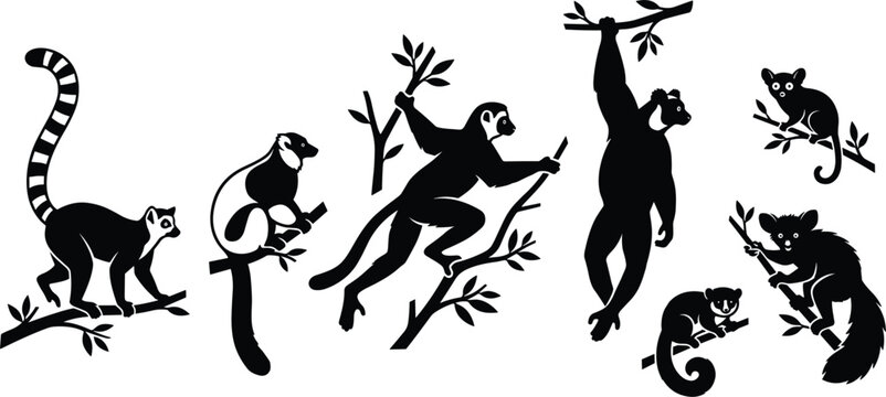 Lemur and Primate Silhouette Vector Set Featuring Ring Tailed Lemur Sifaka Indri Aye Aye and Madagascar Wildlife Graphic Shapes