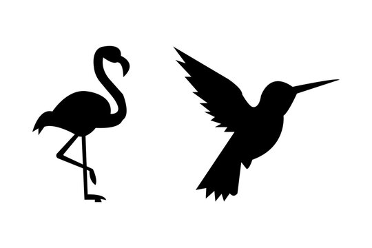 Flamingo and hummingbird silhouettes against a white background tropical bird shapes for design