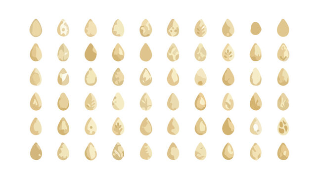 Sesame seeds collection, set of 60 organic white sesame seed icons, natural grain vector elements for food packaging and culinary design