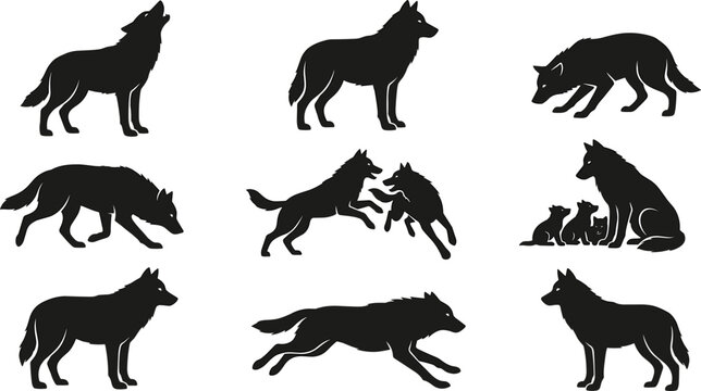 Wolf Pack Silhouette Vector Set Featuring Howling Running Stalking and Playing Wild Predator Pups and Adult Canine Graphic Shapes