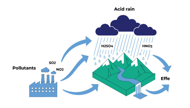 Acid Rain Cycle Infographic Vector Illustration showing Industrial Pollutants and Environmental Effects Diagram