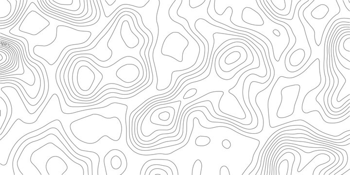 Detailed topographic contour line abstract background with topography background abstract geography elevation cartography landscape minimalist navigation