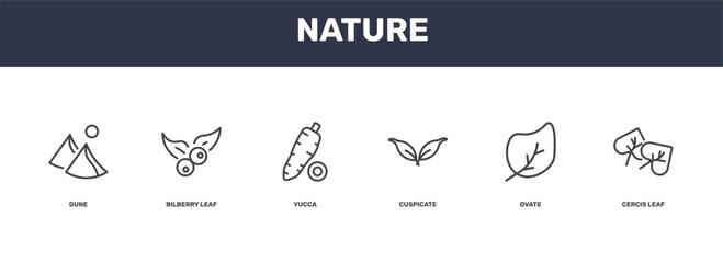 nature icon set with dune, bilberry leaf, ovate, cercis leaf signs in flat outline style © Abstract