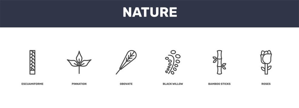 nature icon set with escuamiforme, pinnation, bamboo sticks, roses signs in flat outline style