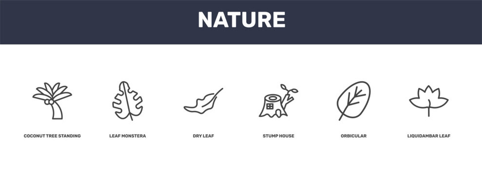 nature icon set with coconut tree standing, leaf monstera, orbicular, liquidambar leaf signs in flat outline style