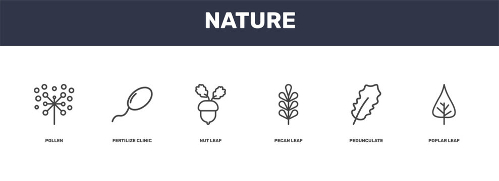 nature icon set with pollen, fertilize clinic, pedunculate, poplar leaf signs in flat outline style
