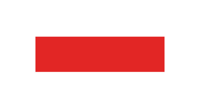 Simple red rectangle graphic element on a clean white background.