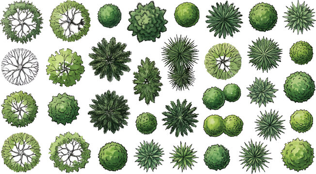 Set of top view tree symbols for architectural landscape design plans and site maps in vector format