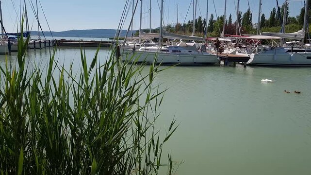 Harbour of Szigliget at Lake Balaton