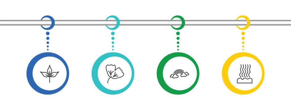 nature icon set with pinnation, ginkgo, rainbow behind a cloud, fasciculate signs in flat outline style