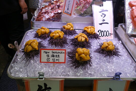 Kyoto Nishiki Markt Seeigel