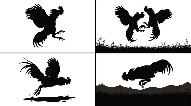 Rooster cockfighting silhouette vector collection featuring aggressive fighting birds jumping and attacking in grass field outdoor landscape