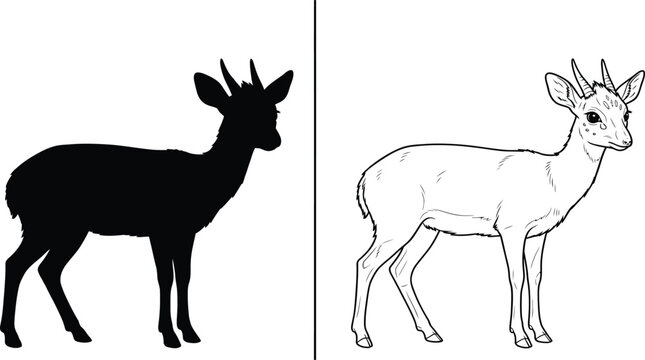 Klipspringer Silhouette and Outline Drawing Standing in a Minimalist and Clean Composition with Plenty of Copy Space