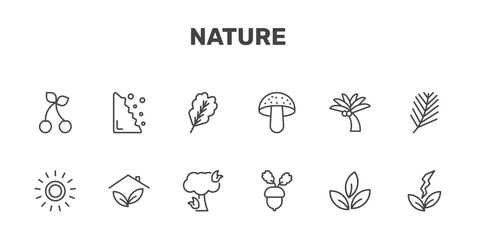 Fototapeta premium nature icon set with cherry leaf, falling debris, oak leaf, natural energy signs in flat outline style