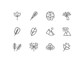 nature icon set with sassafras leaf, obovate, human brian, hawthorn leaf signs in flat outline style © Abstract