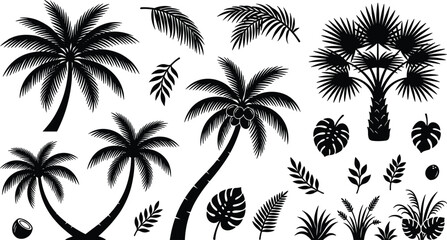 Obraz premium Tropical Palm Tree Silhouette Vector Set with Coconut Trees Monstera Leaves Exotic Foliage and Jungle Plant Elements