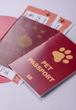 A pet passport is a document for a cat, dog, or other animal. A pet passport