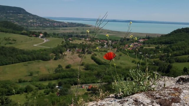 View from the Castle of Szigliget in North Balaton