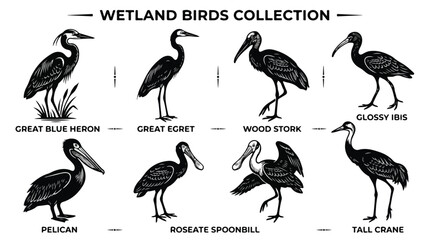 Obraz premium Collection of various wetland bird silhouettes including heron, egret, stork, and crane
