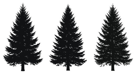 Fir Tree Silhouettes On White Background Coniferous Forest Scene © Foaje512