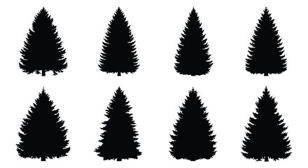 Fir Tree Silhouettes On White Background Coniferous Forest Shapes © Foaje512
