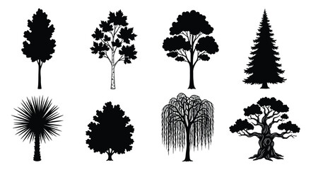 Black Tree Silhouettes Collection Forest Shapes On White Background © Foaje512