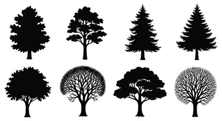Tree Silhouettes Collection Black Vector Illustration On White Background © Foaje512