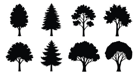 Tree Silhouettes Collection Black Shapes On White Background © Foaje512