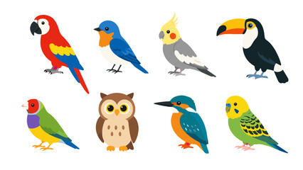 Obraz premium Tropical birds and owl cartoon icons set