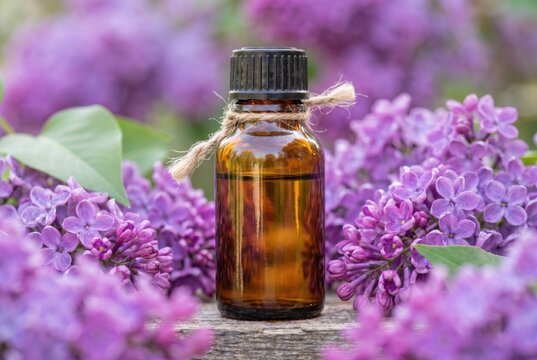 Elegant amber essential oil bottle surrounded by vibrant lilac flowers for aromatherapy
